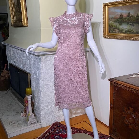 En Focus Pink Lace Sheath Dress - Picture 2 of 13